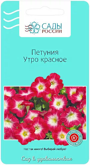 Семена Петуния Утро красное из каталога Петуния Семена Петуния Утро красное.
Крупные цветы рассветно-розового цвета, с трогательной белой серёдкой. При массовой посадке в цветниках даёт плотный цветной ковер впечатляющего вида. Цветение до заморозков.