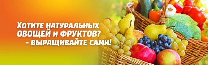 Хотите полезных Овощей и Фруктов? - выращивайте сами! Хотите полезных Овощей и Фруктов? - выращивайте сами!