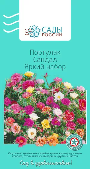 Портулак Сандал Яркий набор

Портулак серии «Сандал» – травянистое стелющееся растение с мелкими цилиндрическими зелеными или слегка красноватыми мясистыми листьями. Создан для быстрого завоевания пространства. Цветки чашевидные простые или махровые средней величины (диаметр 2,5–3 см). Раскрываются рано утром и закрываются с наступлением сумерек. Теплолюбив. Рассаду высаживают в грунт после того, как минует угроза возвратных заморозков.