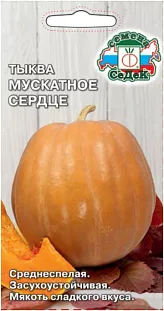 Семена Тыква Мускатное сердце