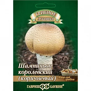 Мицелий грибов Шампиньон Коричневый