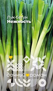 Семена Лук батун Нежность