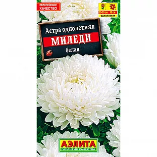 Семена Астра Миледи белая