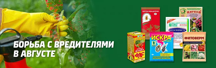 БОРЬБА С ВРЕДИТЕЛЯМИ И БОЛЕЗНЯМИ БИОПРЕПАРАТАМИ В АВГУСТЕ БОРЬБА С ВРЕДИТЕЛЯМИ И БОЛЕЗНЯМИ БИОПРЕПАРАТАМИ В АВГУСТЕ