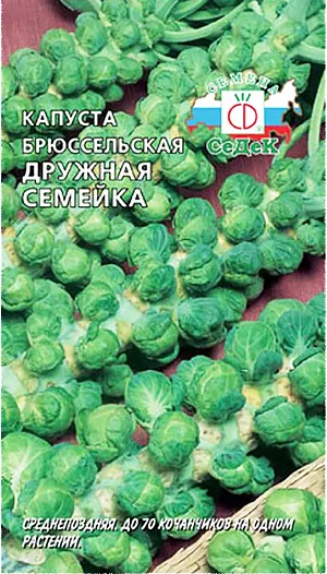 Семена Капуста брюссельская Дружная семейка Семена Капуста брюссельская Дружная семейка