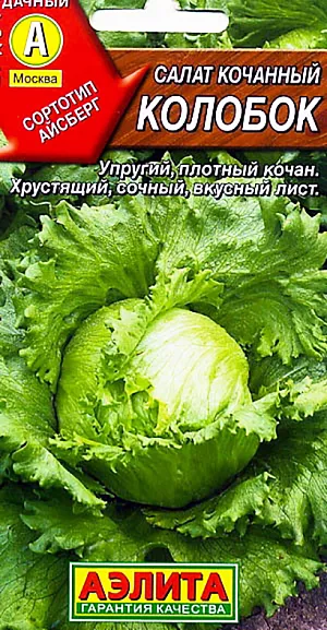 Салат Колобок кочанный (тип Айсберг)
