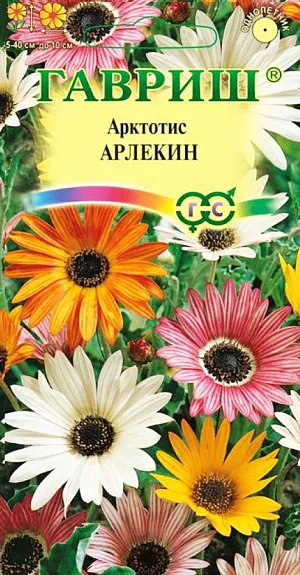 Семена Арктотис Арлекин.
<p style="text-align: justify;">
 Многолетнее растение из семейства Астровые, культивируемое в средней полосе России как однолетнее. Нарядная смесь с крупными ромашковидными соцветиями-корзинками диаметром до 10 см в обрамлении серебристо-зеленой листвы. Высота растений 35-40 см. Цветение начинается в июле и продолжается до сентября. При этом цветки раскрываются только днем, в ясную солнечную погоду. Арктотис засухоустойчив, предпочитает открытые солнечные места, к почве не требователен. Выращивают рассадным способом. Посев на рассаду производят в конце марта — начале апреля. Всходы появляются через 7-12 дней. Молодые растения высаживают в открытый грунт в конце мая на расстоянии 20-25 см. При высадке важно не повредить корневую систему. В южных регионах можно выращивать посевом семян в открытый грунт в мае.
</p>