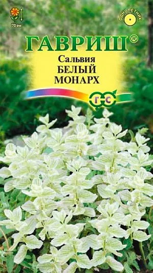Сальвия Белый монарх из каталога Сальвия Семена Сальвия Белый монарх<br>
<br>
Однолетнее, компактное растение высотой 70 см. Очень привлекательное благодаря сине-фиолетовым прицветным листьям, собранным в длинные (18-30 см), простые соцветия. Растение декоративно уже через месяц после посева. Цветет с середины июня до поздней осени, сохраняя свою декоративность. Плодоносит обильно, часто дает самосев. Предпочитает солнечные места и почвы без избытка органических удобрений. Посев производят в марте в рассадные ящики на глубину 0,5-0,8 см. Всходы появляются через 7-14 дней, после чего саженцы пикируют. В грунт рассаду высаживают, когда минует угроза весенних заморозков (25 мая - 15 июня). Расстояние между растениями 30-35 см. Сорт интересен для создания пейзажных композиций, монокультурных клумб и миксбордеров.<br>