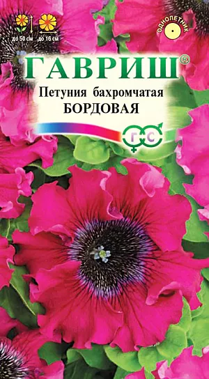 Семена Петуния Бордовая бахромчатая.<br>
Уникальная серия сортов петуний с огромными (до 16 см!) бахромчатыми цветками. Кустики мощные, компактные, густооблиственные, высотой до 50 см. Цветет обильно с мая до заморозков. Цветки бордового цвета с эффектным акцентом — темным жилкованием в виде ажурной сеточки. Посев проводят с февраля по март. При зимнем посеве всходам необходима подсветка. Всходы появляются через 7-12 дней. На постоянное место высаживают, когда минует опасность заморозков. Светолюбива и достаточно засухоустойчива. Предпочитает легкие, плодородные, хорошо дренированные почвы. Украсит клумбы, вазоны, балконные ящики, подоконники, низкорослые бордюры.