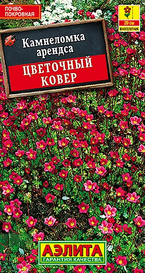 Камнеломка Цветочный ковер из каталога Суккуленты Семена Камнеломка Цветочный ковер.
Многолетнее, низкорослое, вечнозеленое почвопокровное растение. Образует плотную подушку из мелких розеток высотой 10-15 см, усыпанную во время цветения бесчисленным множеством цветков. Декоративно с весны и до глубокой осени, вплоть до снежного покрова. Растение неприхотливое, холодостойкое, хорошо растет как в полутени так и на открытом солнце. Отлично подходит для создания низких бордюров, альпинариев и каменистых садиков.
Агротехника. Посев семян рано весной непосредственно в грунт или в марте на рассаду. Сеют поверхностно, без заделки, с обеспечением постоянной влажности до появления всходов. В фазе настоящего листа сеянцы пикируют. Высаживают в открытый грунт в июне. Требует рыхлых дренированных почв. Более требовательна к влаге, чем другие «альпийцы».