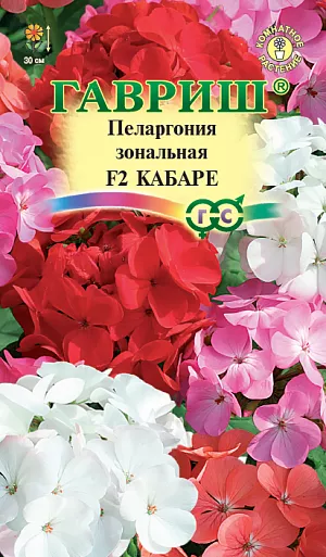 Семена Пеларгония Кабаре из каталога Пеларгония Семена Пеларгония Кабаре.<br>
Популярное многолетние комнатное растение из семейства Гераниевых. Формирует объемный и компактный кустик высотой 30 см. Листья зеленые, с характерным темным рисунком. Восхитительные цветки, разнообразной окраски, образуют крупные, шаровидные соцветия, диаметром 9-12 см. При тщательном уходе может цвести весь год. Пеларгония светолюбива, неприхотлива в культуре, легко переносит недостаток влаги. Размещают растение на солнечных восточных и западных окнах. В теплое время года любит обильный, частый полив.<br>
Зимой, в зависимости от температуры, поливают умереннее. Подкармливают растение минеральными удобрениями, обогащенными калием. Для получения цветущих растений к началу лета посевы производят с декабря по февраль, используя в качестве субстрата чистый торф или смесь торфа с песком. Для комнатного использования высевают в марте-апреле. Всходы обычно появляются через 2-3 недели после посева. В фазе двух-трех настоящих листочков растения пикируют в горшки. Для лучшего кущения рассаду прищипывают над пятым - шестым листом. Летом пеларгонию желательно выносить на свежий воздух, а зимой устанавливать в прохладной светлой комнате с температурой 10-12 °C. Геранями озеленяют балконы, веранды, лоджии. Их используют в цветочных композициях в полутенистых участках сада.