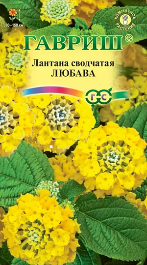 Лантана сводчатая Любава из каталога Разные <div>
Семена Лантана сводчатая Любава.
</div>
Вечнозеленый кустарник высотой до 150 см с четырехгранными опушенными стеблями и жесткими серо-зелеными листьями. Цветки небольшие, отцветая, меняют окраску от оранжевых до розовых или красноватых. Обладает приятным запахом. Цветет с весны до поздней осени.