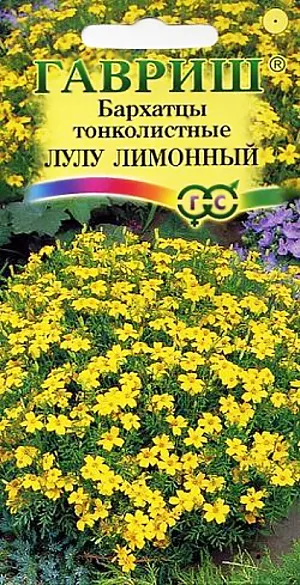 Семена Бархатцы Лулу лимонный. <br>
Обильно цветущий сорт для ярких нарядных цветников. Растение сильноветвистое, формирует раскидистый кустик с изящными перисто-рассеченными листьями. В пору цветения растение похоже на цветущий шар, усыпанный лимонно-желтыми соцветиями – корзинками до 3 см в диаметре. Бархатцы теплолюбивы и светолюбивы, засухоустойчивы, отзывчивы на плодородие почв. Высаженные рядом с огородными культурами, они уменьшают их поражение грибными заболеваниями, особенно фузариозом, защищают от некоторых видов нематод. На рассаду высевают в начале апреля. В открытый грунт можно высевать в конце мая — начале июня. Всходы появляются на 5-10 день. Широко используются в озеленении при оформлении бордюров, для выращивания в контейнерах, вазонах. Пригодны для выращивания в ампелях на балконах и лоджиях.