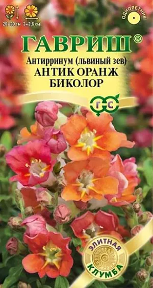 Семена Львиный зев (Антирринум) Антик Оранж биколор из каталога Львиный зев Семена Львиный зев (Антирринум) Антик Оранж биколор<br>
<br>
Антирринум частый гость пышных цветников, заслуживший любовь нарядными цветами необычной формы с богатой и яркой палитрой окрасок. Новая необыкновенная серия Антик с удивительными открытыми азалиевидными цветками с волнообразным краем, что создает эффект махровости, и приятным ароматом станет достойным украшением вашего сада. Интенсивно ветвящейся кустик, достигающий в высоту 25-30 см, буквально усыпан крупными цветками, собранными в кистевидные соцветия нежно-оранжевых оттенков со светлой серединкой и белой «ножкой». Цветение продолжительное и обильное с июня до заморозков. Будучи неприхотливым растением, львиный зев нуждается лишь в стандартных процедурах по уходу за растениями: правильный полив, рыхление грунта, подкормка и удаление сорняков. Выращивают рассадным способом.<br>