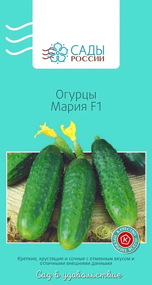 Семена Огурец Мария F1