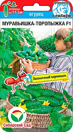 Семена Огурец Муравьишка-торопыжка Семена Огурец Муравьишка-торопыжка