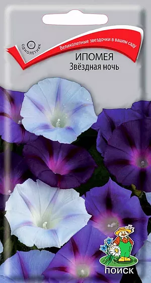 Ипомея Звездная ночь из каталога Ипомея <div>
Семена Ипомея Звездная ночь.
</div>
Великолепные звёздочки в вашем саду. Стебли достигают 2,5 м длины. Цветки крупные светло-голубые, синие, тёмно-фиолетовые с фиолетовой звездой, воронковидной формы диаметром 8-10 см. Цветет обильно с июля по октябрь. Широко используются для вертикального оформления цветников различного назначения. <br>
<br>
<b> Агротехника.</b> Растение свето- и теплолюбивое, засухоустойчивое. Предпочитает почвы рыхлые, питательные. Размножают посевом семян в мае на постоянное место по 2-3 семени в лунку или в торфяные горшочки в апреле. Семена необходимо замачивать в течение 24 часов. При температуре почвы +20°C всходы появляются через 6-14 дней. Рассаду высаживают с комом земли, выдерживая расстояние между растениями 15-20 см.