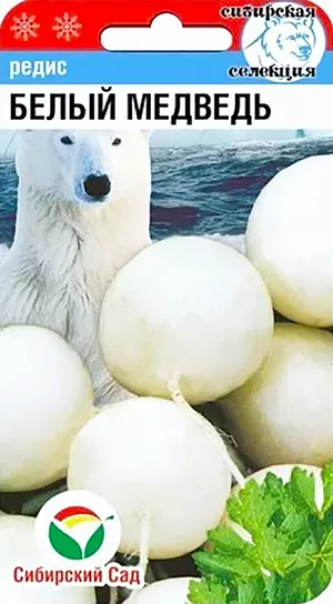 Семена Редис Белый медведь