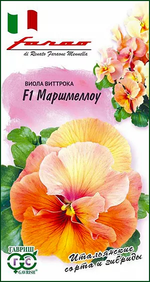 <div>
 Семена Виола Маршмеллоу F1.
</div>
 <article>
<p>
 Неповторимая по красоте крупноцветковая виола из итальянской серии «F1 Фламбе»! Из-за неоднородной окраски, гибрид кажется, тонко подобранной смесью из нежно-лимонных и персиковых цветков, диаметром 6 см. Истинные ценители прекрасного, безусловно, оценят такое роскошное украшение для балкона, садовых ваз, клумб и рабаток. Цветет обильно и продолжительно с мая по сентябрь.
</p>
<p>
  Растение влаголюбивое, холодостойкое, хорошо растет на солнце и в полутени. Для получения растений, цветущих в год посева, семена высевают на рассаду в феврале-марте. Всходы появляются через 5-7 дней. В открытый грунт рассаду высаживают в конце апреля-начале мая на расстоянии 20 см. Хорошо переносят пересадку в цветущем состоянии. При посеве в открытый грунт в июне-июле, цветение наступает во второй год.
</p>
 </article>