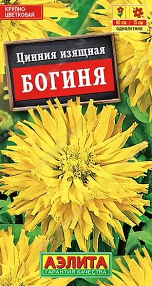 Семена Цинния кактусовидная Богиня. Феноменальная кактусовидная цинния, цветовое воплощение энергии. Поражает крупными размерами: средняя высота растений 70-90 см, диаметр соцветий 13-15 см. Растения быстрорастущие, мощного кустового габитуса, с хорошим ветвлением. Огромные густомахровые соцветия солнечной окраски имеют прочные и длинные стебли. Срезка сохраняет свежесть в вазе больше недели. Растения рекомендуется использовать для оформления центра клумбы, среднего яруса цветников, группами в миксбордере.<br>
 <br>
 Циннии – растения теплолюбивые, относительно засухоустойчивые. Предпочитают солнечные участки с дренированными почвами среднего плодородия, нейтральной кислотности. В южных регионах возможен без рассадный способ выращивания.<br>