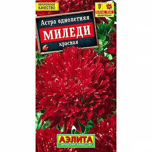 Астра Миледи красная