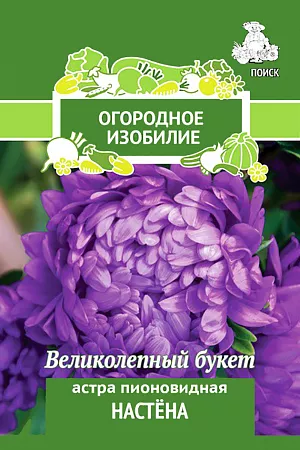 Семена Астра Настёна пионовидная.
Великолепный букет соцветий. Растение высотой 60-75 см. Соцветия фиолетовые. 
Используют очень широко: для посадки в сборные цветники группами, на рабатки – рядами и на срезку.
 Посев: март
Глубина посева: 0.5 см
Высадка рассады: 25 мая- 5 июня
Время цветения: авг. – сент.
Схема посадки: 25х30 см