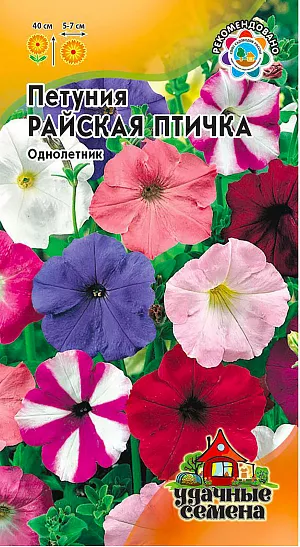 Семена Петуния Райская Птичка.
Смесь многоцветковых сортов петуний высотой до 40 см. Растения компактные, сильноветвящиеся, прочные, устойчивы к неблагоприятным факторам внешней среды. Цветут продолжительно все лето до самых заморозков. Цветки очень ярких, насыщенных окрасок, 5,5-6,5 см в диаметре. Петунии светолюбивы и достаточно засухоустойчивы. Предпочитают легкие, плодородные, хорошо дренированные почвы. Выращивают рассадным способом. Многоцветковые петунии -это яркие цветники, рабатки и бордюры в вашем саду.