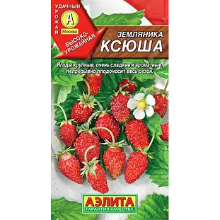 Семена Земляника (клубника) альпийская Ксюша