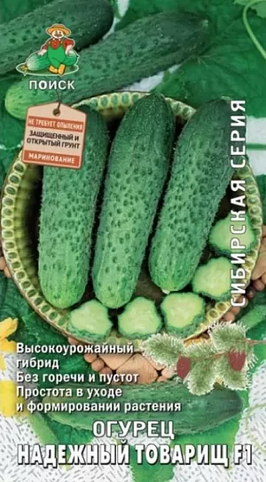 Семена Огурец Надежный товарищ F1