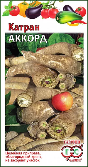 Катран Аккорд Катран Аккорд
