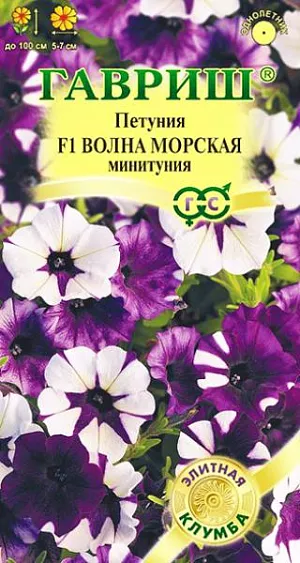 Семена Петуния суперкаскадная Волна морская F1 из каталога Петуния Семена Петуния суперкаскадная Волна морская F1 <br>
<br>
Гибриды из серии F1 «Волна» (Easy wave) получили признание и любовь у профессионалов и любителей по всему миру. Самая неприхотливая из петуний с каскадной формой куста, прекрасно растет даже в условиях короткого дня, что значительно упрощает выращивание рассады в зимние месяцы (январь, февраль) и сдвигает сроки цветения на более ранние. Даже в неблагоприятных условиях растения развиваются равномерно, это делает их незаменимыми для создания смесей нескольких оттенков, цветочных композиций с другими декоративными культурами уже на стадии ранних всходов. Во взрослом состоянии гибриды превосходят все известные каскадные формы, включая «сурфинию» по многим параметрам. Одно растение формирует множество, крупных цветков диаметром 5-7 см. Габитус растений зависит от плотности посадки. При высадке на расстоянии 30 см, растут, в основном, вверх, образуя живую изгородь высотой 30 см. Высаженные на расстоянии 60 см, разрастаются как почвопокровные во всех направлениях на площади 1,0 м². Но эффектнее всего выглядят растения в подвесных корзинах и балконных ящиках, где мощные многочисленные побеги длиной 0,75-1,0 м, свисая, образуют грандиозный цветущий водопад. Посев проводят с января по апрель, поверхностно, под стекло (после появления всходов стекло убирают). В зимние месяцы январь-февраль желательна досветка. На постоянное место высаживают, когда минует опасность заморозков. Светолюбива и достаточно засухоустойчива. Предпочитает легкие, плодородные, хорошо дренированные почвы.