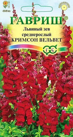 Семена Львиный зев Кримсон вельвет среднерослый.
Декоративное растение из семейства Норичниковые, культивируемое как однолетник, высотой 40-60 см. Цветет с конца июня до поздних заморозков. Цветки крупные, собраны в кистевидные соцветия насыщенно-красной окраски. Холодостоек, светолюбив, к почвам нетребователен, в засушливый период нуждается в поливе. Выращивают рассадным способом. Посев проводят с начала марта до середины апреля. Всходы появляются через 8-12 дней. Рассаду высаживают во второй половине мая с расстоянием между растениями 20 см. Используется для посадки на клумбах, в рабатках и миксбордерах, а также для получения срезки (львиный зев стоит в воде до двух недель).