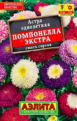 Семена Астра Помпонелла Экстра смесь из каталога Астра Семена Астра Помпонелла Экстра смесь. Многоцветная смесь с густомахровыми помпонными соцветиями. Зацветает раньше других видов астр. Кусты компактные, с большим количеством цветоносов. Подходит для клумб, горшечной культуры и на срезку.