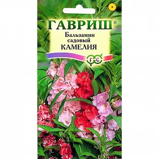 Семена Бальзамин Камелия Садовый
