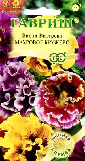 Семена Виола Махровое кружево смесь F1. Двулетник.<br>
 <br>
 Высота: 20 см.<br>
 <br>
 Диаметр: 6-8 см.<br>
 <br>
 Непревзойденная по красоте виола, двулетник. Высота растений до 20 см. Цветки насыщенного тона бургунди, крупные, до 6-8 см. в диаметре. Лепестки с фантастической гофрировкой, украшены рюшами. Ровный габитус, улучшенная форма растений, раннее и обильное цветение позволяют широко использовать эту виолу в профессиональном плане. Цветет обильно и продолжительно с мая по сентябрь. <br>
 <br>
Влаголюбива, холодостойка, хорошо растет на солнце и в полутени. Для получения растений, цветущих в год посева, семена высевают на рассаду в феврале-марте. Всходы появляются через 5-7 дней. В открытый грунт рассаду высаживают в конце апреля - начале мая на расстоянии 20 см. Растения хорошо переносят пересадку в цветущем состоянии. При посеве в открытый грунт в июне-июле, цветение наступает во второй год. Используют для посадки массивами, на клумбы, рабатки, в балконные ящики и садовые вазы.