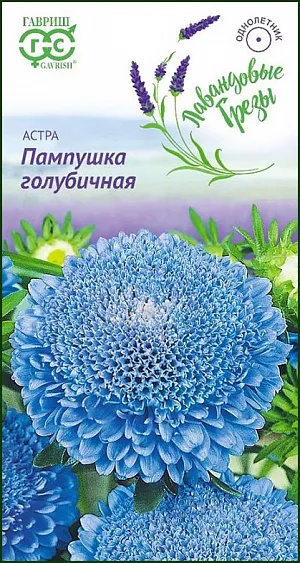 Семена Астра Пампушка голубичная.
Растение высотой 50 см. Соцветия полусферические, голубой окраски, диаметром 4-5 см. 
Для выращивания подходят хорошо освещенные участки с плодородной суглинистой или супесчаной почвой. 
Астры обладают высокой холодостойкостью – хорошо переносят заморозки до -3-4оС. 
Выращивают, чаще всего, рассадным способом.
Семена высевают в марте-апреле, пикируют с развитием первой пары настоящих листочков по схеме 5х5 см, в открытый грунт рассаду высаживают с середины мая до начала июня. 
Возможен подзимний посев астр: в конце октября на глубину 5-8 см. 
Сверху посевы мульчируют торфом или опилками на высоту 3-5 см. 
Весной (в конце марта-начале апреля) посевы раскрывают. 
Появившиеся в конце апреля всходы будут закаленными, а выросшие растения сильными, устойчивыми к заморозкам и обильно цвести.
Используются для получения срезки и оформления участка.