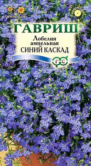 Семена Лобелия Синий каскад ампельная.
Травянистое растение, с обильно цветущими, свешивающимися побегами 30-35 см длиной. 
Цветки до 2 см в диаметре, двугубые, на коротких цветоножках, по одному в пазухах листьев темно-синего цвета. 
Цветет с июня по сентябрь. Продолжительность и обильность цветения увеличиваются при своевременном удалении отцветших стеблей.
Хороша в вазах, балконных ящиках. Размножают семенами, посев которых производят в феврале .
Для равномерности посевов семена смешивают с сухим песком в соотношении 1:50 и не заделывают.