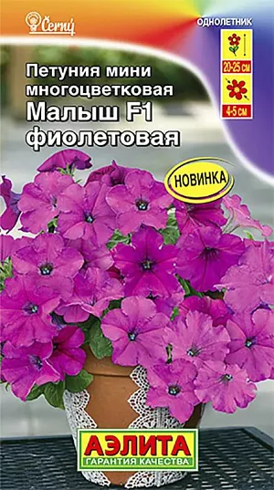 Семена Петуния мини Малыш F1 фиолетовая многоцветковая. <br>
 <b>Удивительно рано и обильно цветущий гибрид</b> петунии чешской селекции. Листвы почти не видно! Высаженные на постоянное место растения быстро образуют ветвистые компактные кустики диаметром  25-30 см. Множество ярких цветов-граммофончиков  4-5 см. в течение всего сезона будут украшать ваши цветники и рабатки, балконные ящики и вазоны. Петунии лучше всего растут в рыхлой, питательной и влагоемкой почве. Периодические подкормки комплексным удобрением делают цветение более обильным. Центр куста не оголяется и растение не нуждается в формировании и прищипке. Гибрид устойчив к наиболее распространенным болезням культуры.<br>
 <br>
  Семена в гранулах! Гранулы располагают на поверхности почвы, не заделывая их, хорошо увлажняют из распылителя.При попадании влаги на гранулу оболочка должна раство-<br>
 риться. Посевы накрывают стеклом для сохранения постоянной влажности до полных всходов. Февральским посевам требуется дополнительная подсветка.<br>