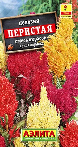 Семена Целозия Перистая смесь окрасок из каталога Целозия Семена Целозия Перистая смесь окрасок.
Высокорослый летник с разветвленным кустом около 70 см. Верхушки побегов венчают крупные, красивые метельчатые соцветия примерно 10 см в высоту. Яркие, «пылающие» окраски соцветий оживляют солнечные садовые цветники. Пышные султаны хороши в свежих букетах и в зимних аранжировках в засушенном виде. Агротехника. Выращивают рассадным способом. С появлением одного-двух настоящих листьев сеянцы пикируют в отдельные горшочки. В открытый грунт рассаду высаживают, когда минует опасность заморозков. Целозия хорошо развивается на плодородных, нейтральных по кислотности, дренированных почвах. Необходимо солнечное местоположение с защитой от ветров.