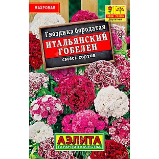 Гвоздика Итальянский гобелен смесь Гвоздика Итальянский гобелен смесь