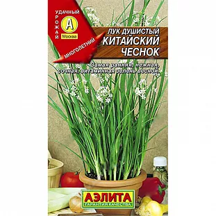 Лук душистый Китайский чеснок