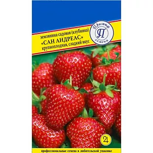 Семена Земляника (клубника) рем крупн Сан Андреасс Семена Земляника (клубника) рем крупн Сан Андреасс