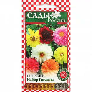 Георгина Набор Гиганты