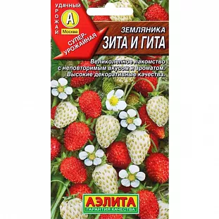 Семена Земляника (клубника) Зита и Гита, смесь