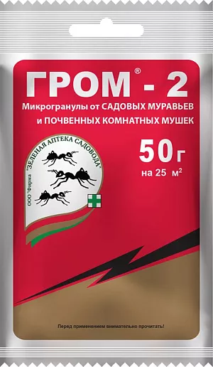 Гром-2 Гром-2