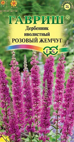 Дербенник иволистный Розовый Жемчуг из каталога Разные Семена Дербенник иволистный Розовый Жемчуг 0,05 г.
<p style="text-align: justify;">
Дербенник иволистный — многолетнее неприхотливое дикорастущее и декоративное растение. Иное название «плакун-трава», растение получило благодаря характерной особенности избавляться от лишней влаги в почве, образуя на листьях капли воды, напоминающие стекающие слезы. Растение вырастает до 1,2 м, отличается прямым ровным стеблем, плотными колосовидными соцветиями и яркими розовато-лиловыми звездчатыми цветками (до 1 см в диаметре). Листья удлиненные, густо прорастают из корневища. Цветет в июне-августе. Отличный медонос. Зимостоек, на одном месте растет в течение нескольких лет. Предпочитает солнечные продуваемые участки, но может расти и в полутени, с легкой, питательной и влажной почвой. Прекрасно подойдет для оформления клумб, миксбордеров, а также водоемов (может расти даже в воде).
</p>