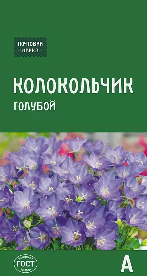 Семена Колокольчик Карпатский голубой Семена Колокольчик Карпатский голубой