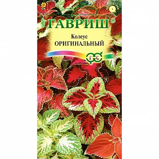 Семена Колеус Оригинальный