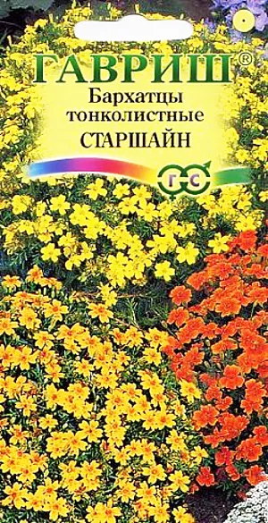 Бархатцы Старшайн смесь из каталога Бархатцы Семена Бархатцы Старшайн смесь.<br>
Обильно цветущая смесь сортов для ярких нарядных цветников. <br>
Растения сильноветвистые, формируют раскидистый кустик с изящными перисто-рассеченными листьями. <br>
В пору цветения растения похожи на цветущие шары желто-лимонных, золотистых, оранжевых оттенков. <br>
Соцветия – мелкие корзинки, до 3 см в диаметре. Бархатцы теплолюбивы и светолюбивы, засухоустойчивы, отзывчивы на плодородие почв. <br>
На рассаду высевают в начале апреля. В открытый грунт можно высевать в конце мая — начале июня. Всходы появляются на 5-10 день.<br>
Широко используются в озеленении при оформлении бордюров, для выращивания в контейнерах, вазонах.<br>
Пригодны для выращивания в ампелях на балконах и лоджиях.