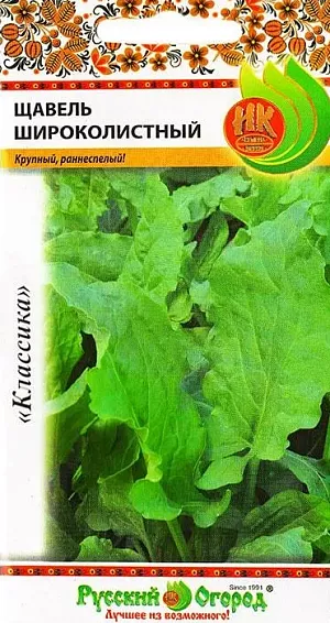 Щавель Широколистный